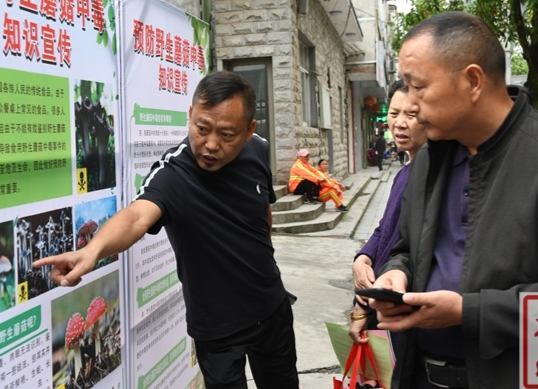 龙山县市监局提醒：切勿擅自采食野生菌！