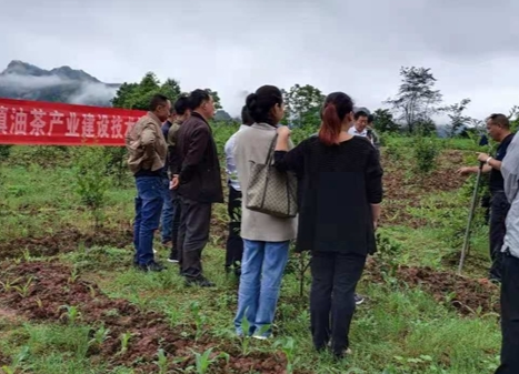 水田坝镇组织2021年度油茶产业建设技术培训