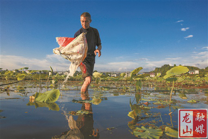 湖南日报：天光云影伴耕耘