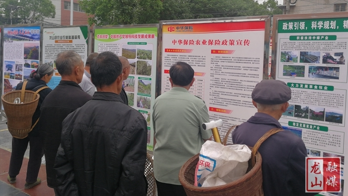 中华保险龙山支公司开展"科技下乡送保险"活动提高农民风险意识