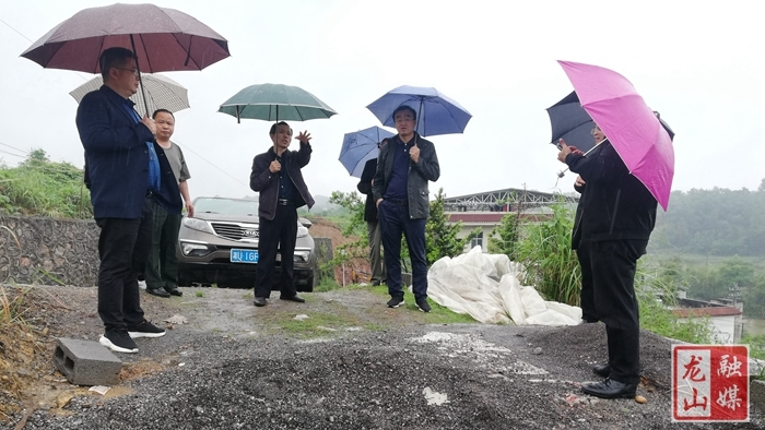 张肇琴调研指导地灾防治和安全度汛工作