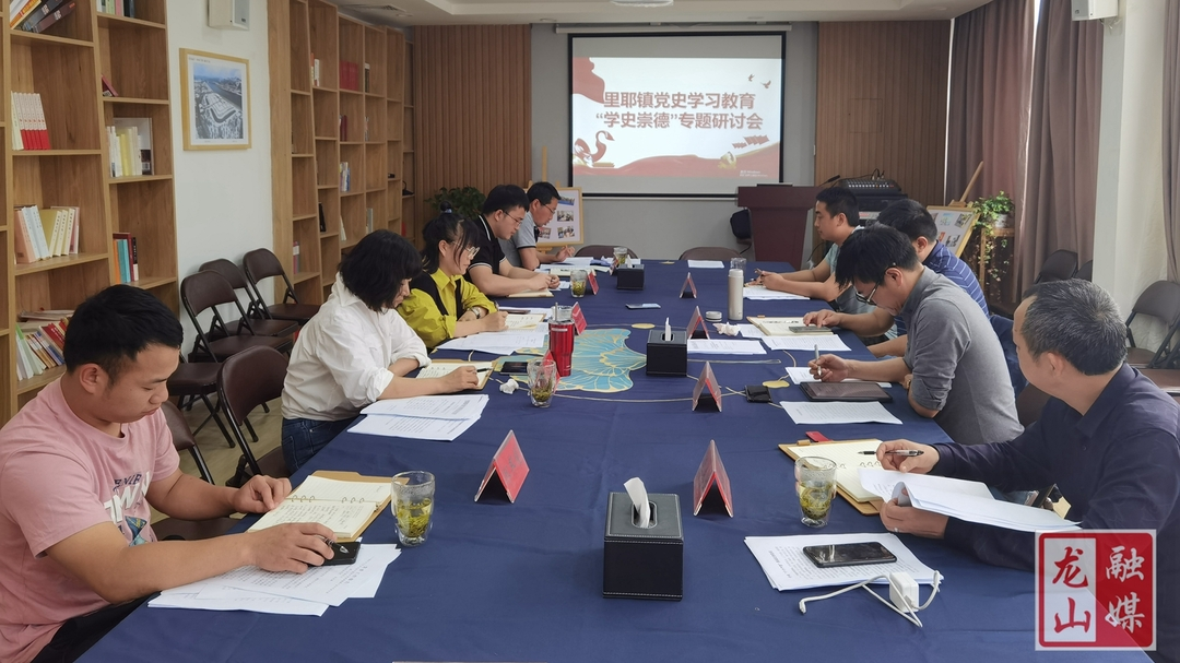 【学党史 明初心】里耶镇开展党史学习教育“学史崇德” 专题研讨