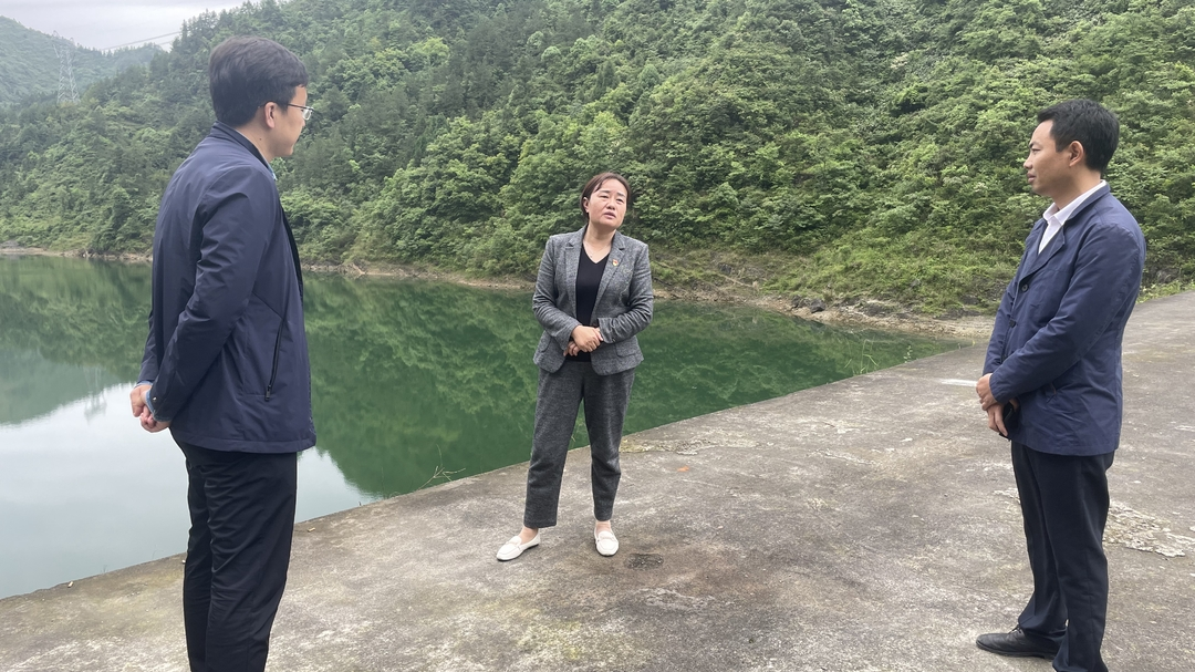 石红梅调研茨岩塘镇防汛备汛工作