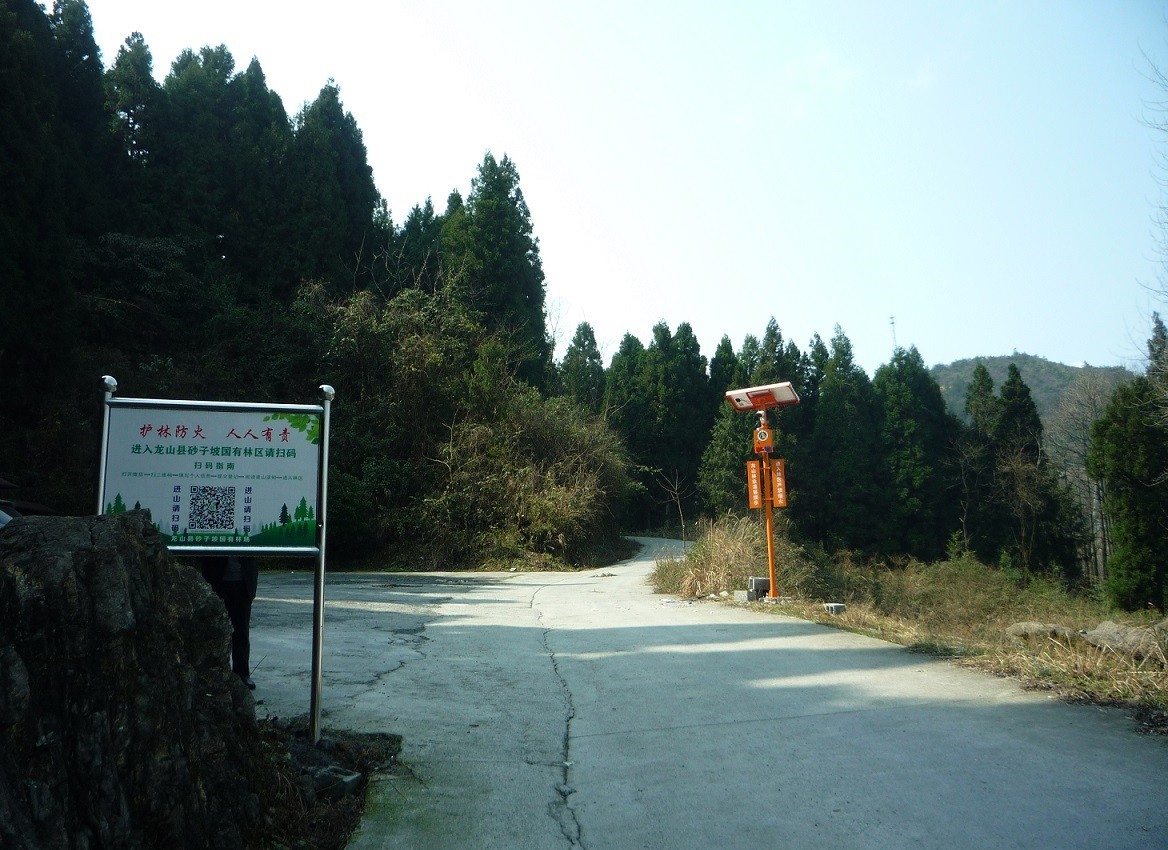 龙山林业：高科技“巡山” 全方位护林