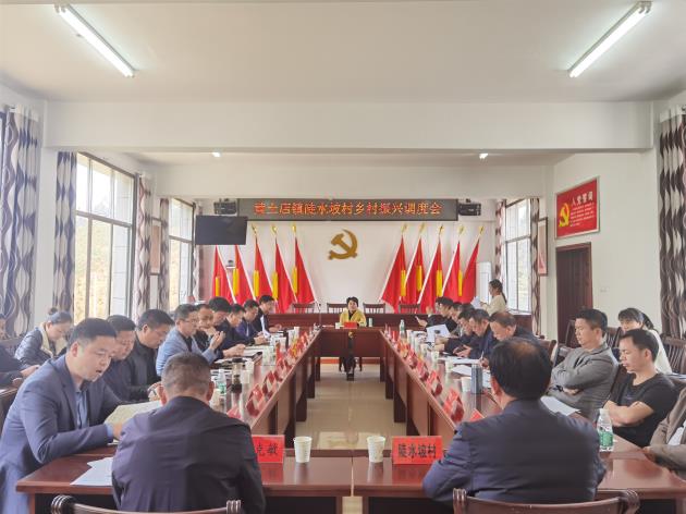 余习琼到黄土店镇陡水坡村调度乡村振兴工作