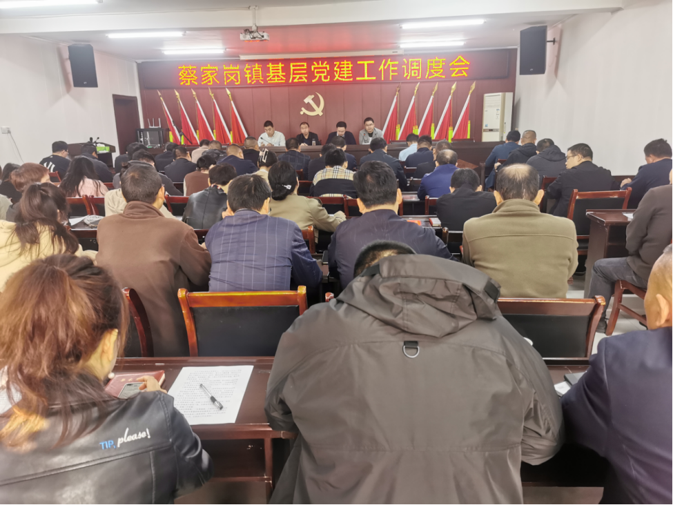 蔡家岗镇开展基层党建工作交叉检查