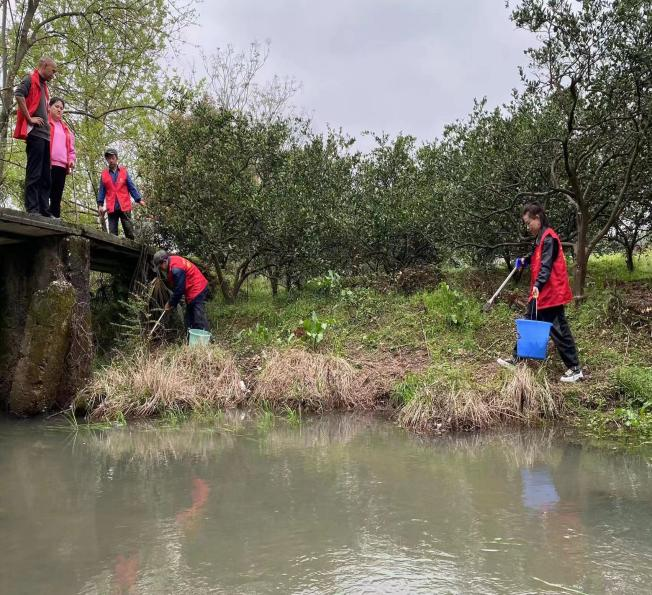 蔡家岗镇：清理河道垃圾   守护碧水家园
