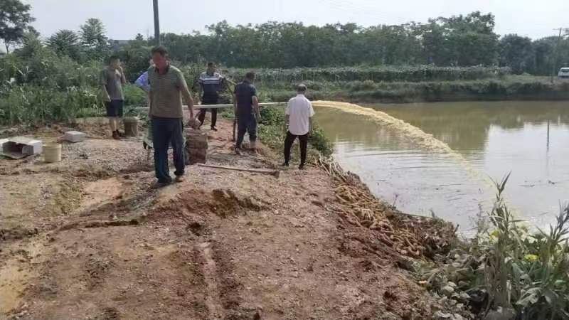 蔡家岗镇：为群众“解忧” 为农田“解渴