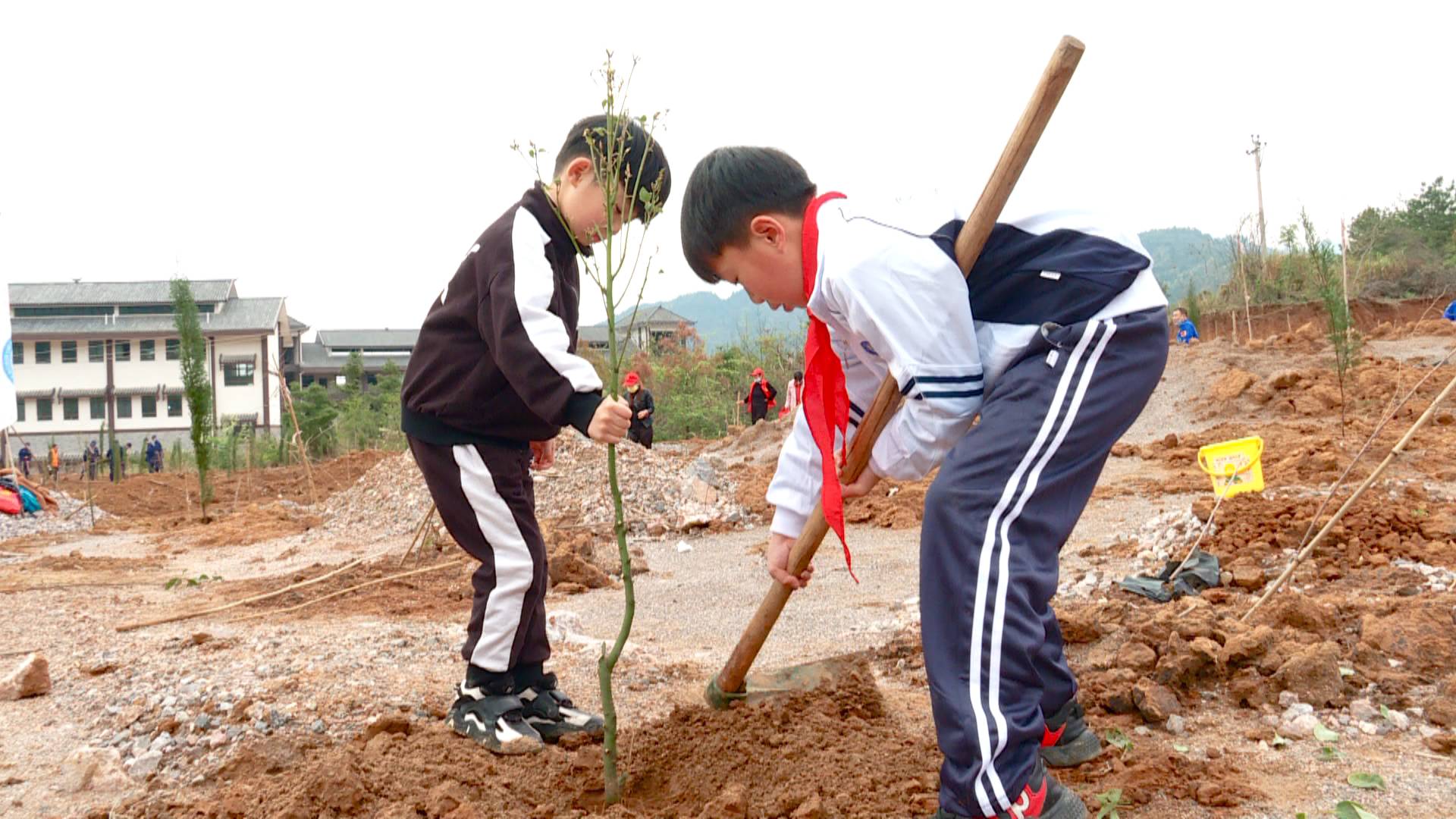 韶钢西区幼儿园开展植树活动 激发孩子们对大自然的热爱_韶关发布