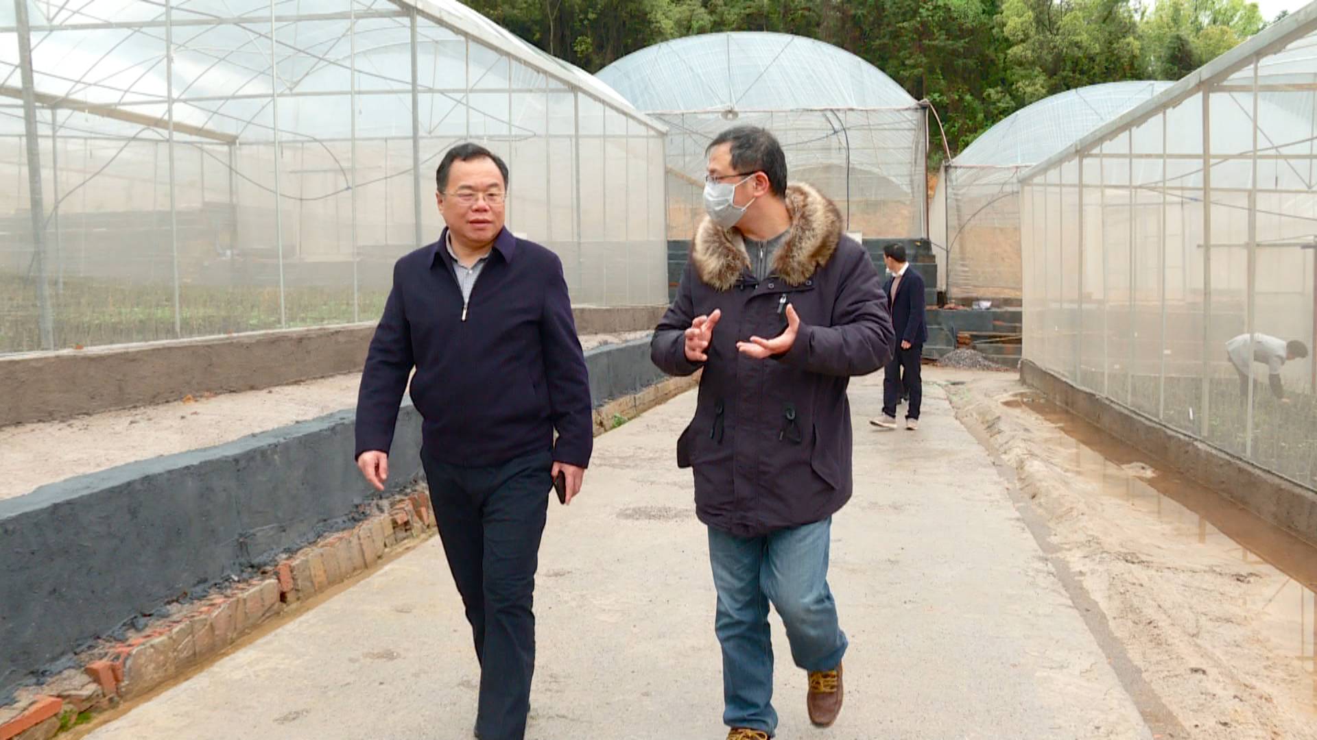 农业科学家“倾囊相授”为临武柚春耕保驾护航