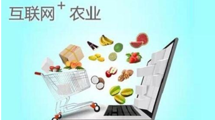 信息化助农行动 |我县召开电子商务助农产品销售座谈会