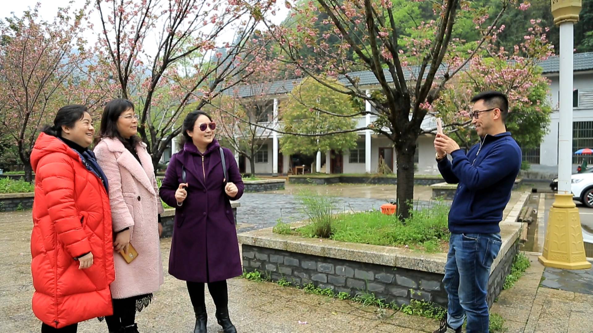 西瑶绿谷：樱花开 游客来
