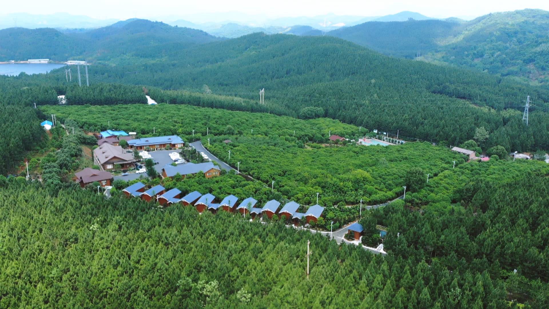 南国红豆庄园：高颜值生态民宿火爆