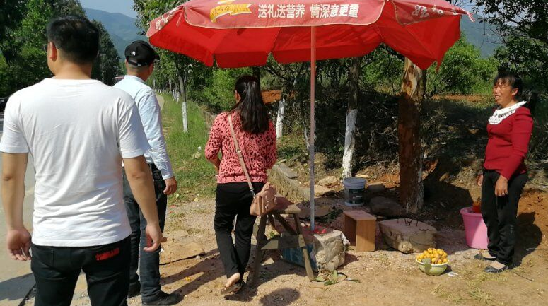 楚江镇：整治马路市场“引摊入市”