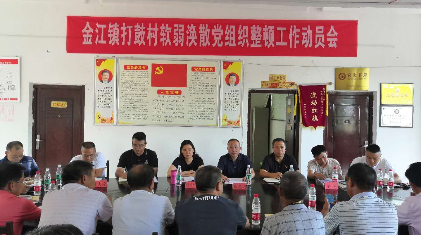 唐友国到金江镇调研软弱涣散党组织整顿工作