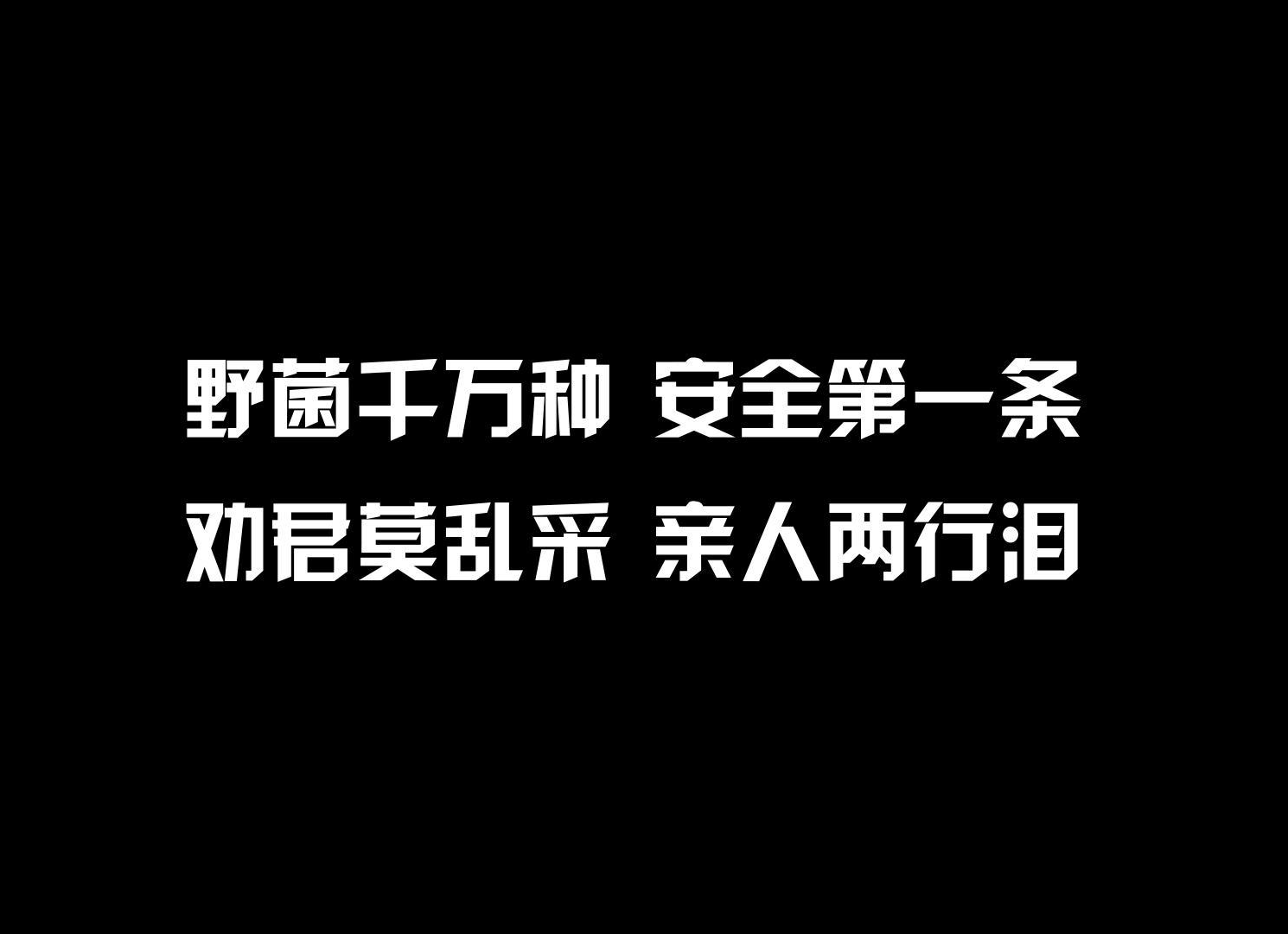 真假毒蘑菇宣传片