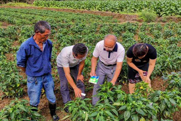 县农业农村局：专家精准“开方” 助农增收有方
