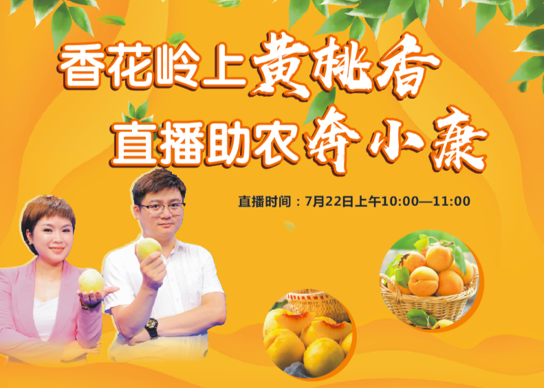 扶贫助农直播｜临武县香花黄桃直播带货