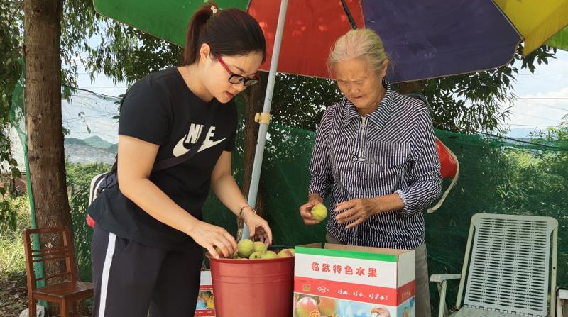 花塘乡：心系果农 小桃大爱