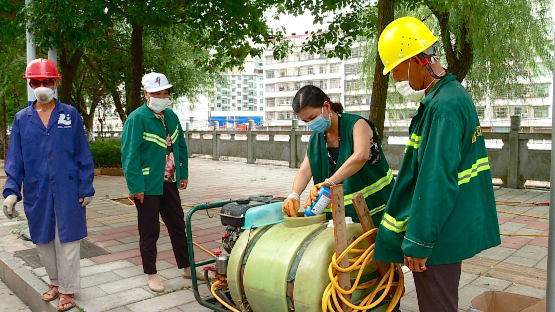 打药除虫  保护城区绿植