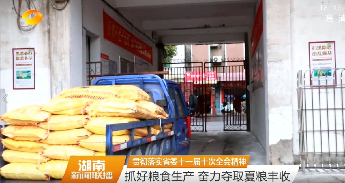 【湖南卫视】抓好粮食生产 奋力夺取夏粮丰收