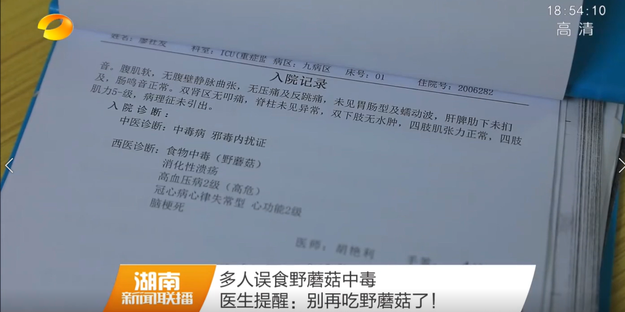【湖南卫视】多人误食野蘑菇中毒 医生提醒：别再吃野蘑菇了！