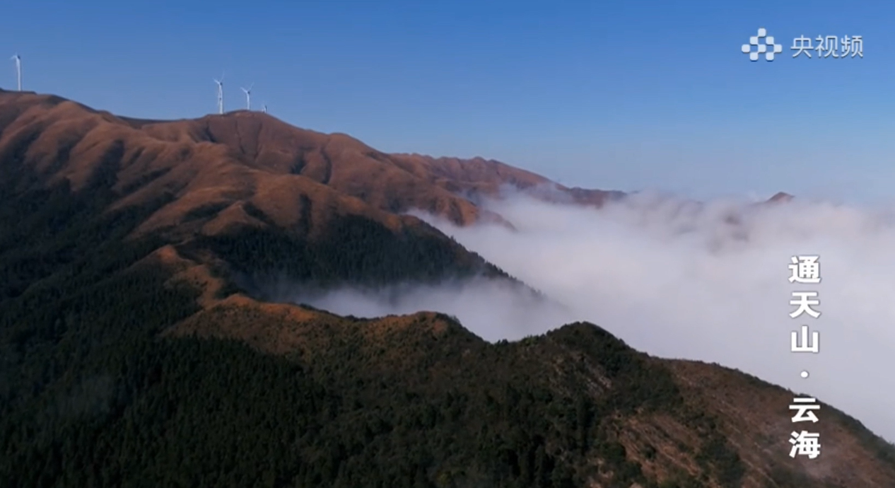 【央视频】郴州临武 素未谋面的通天山云海