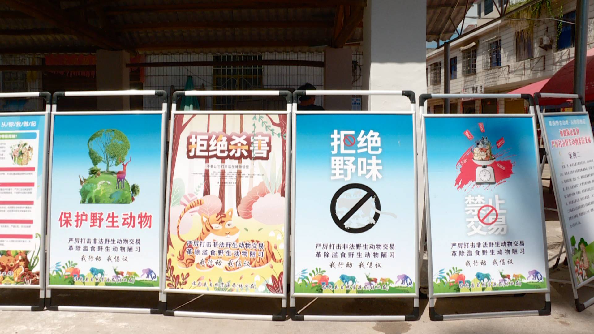 我县开展保护野生动物宣传