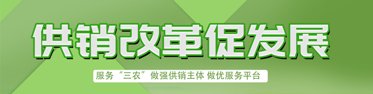 供销改革促发展