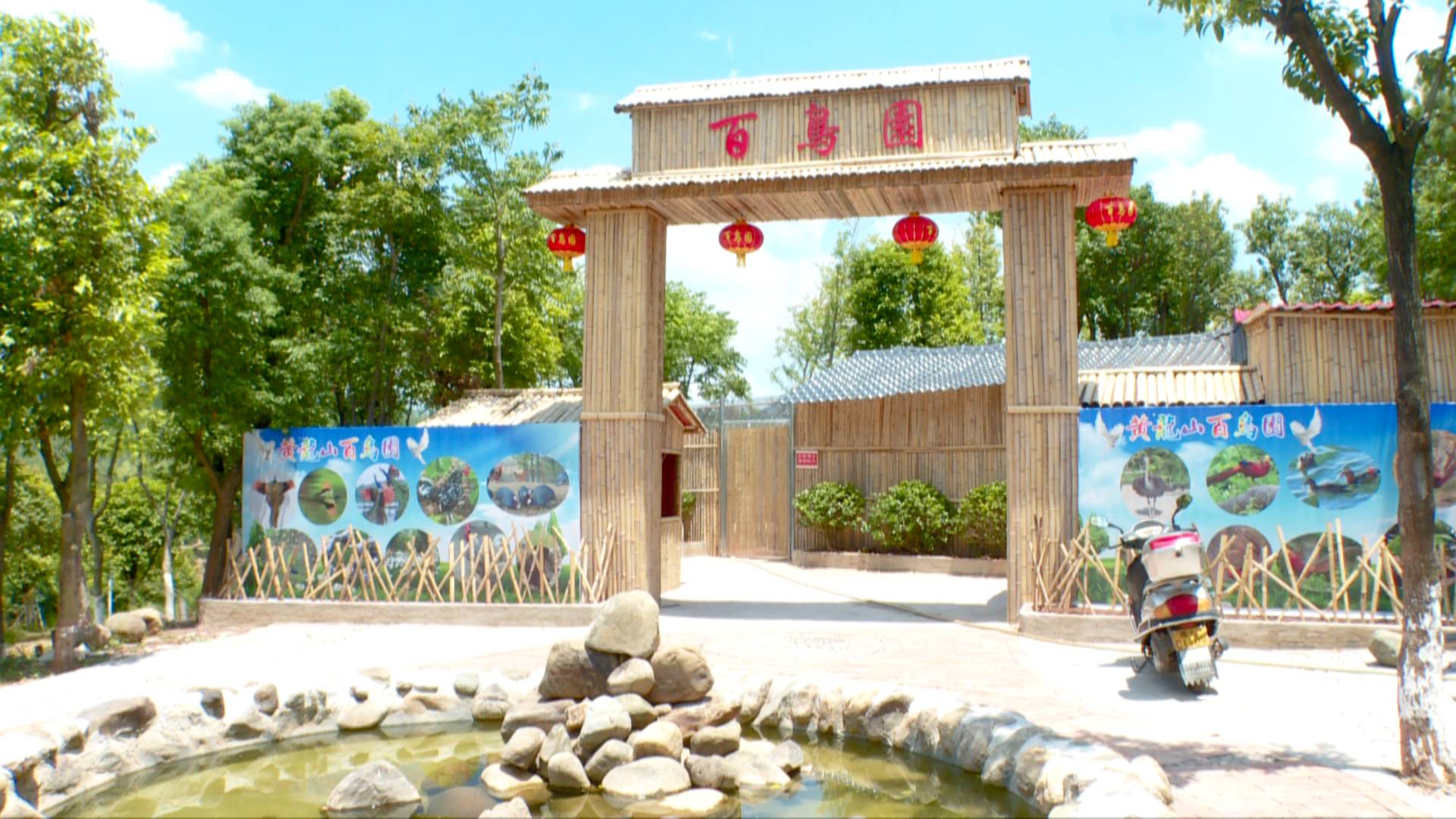 黄龙山百鸟园：中小学生的科普“打卡”地