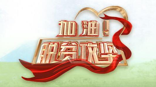 《加油！脱贫攻坚》第二十九集《挂职书记扶贫记》