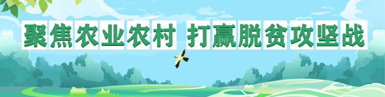 聚焦农业农村 打赢脱贫攻坚战