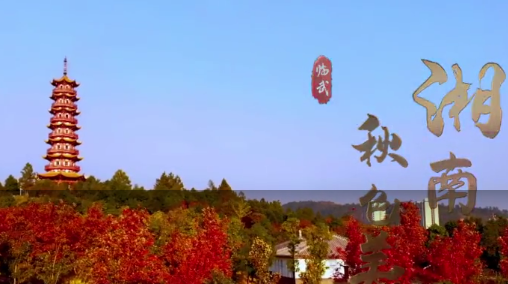 湘南秋色美
