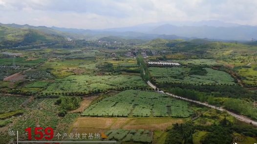 临武脱贫增收三件“宝”
