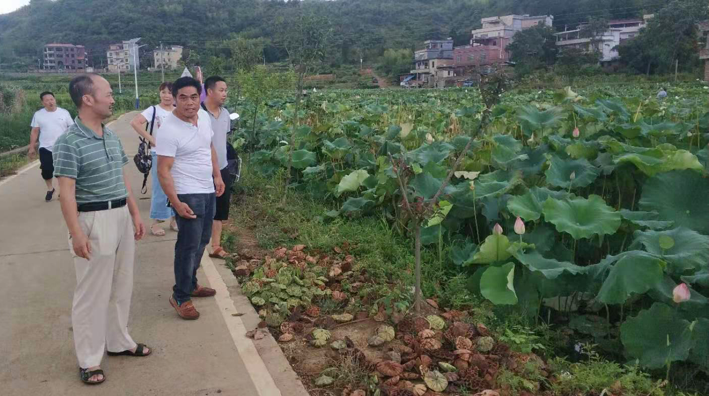 培育新型经营主体 发展农民合作组织