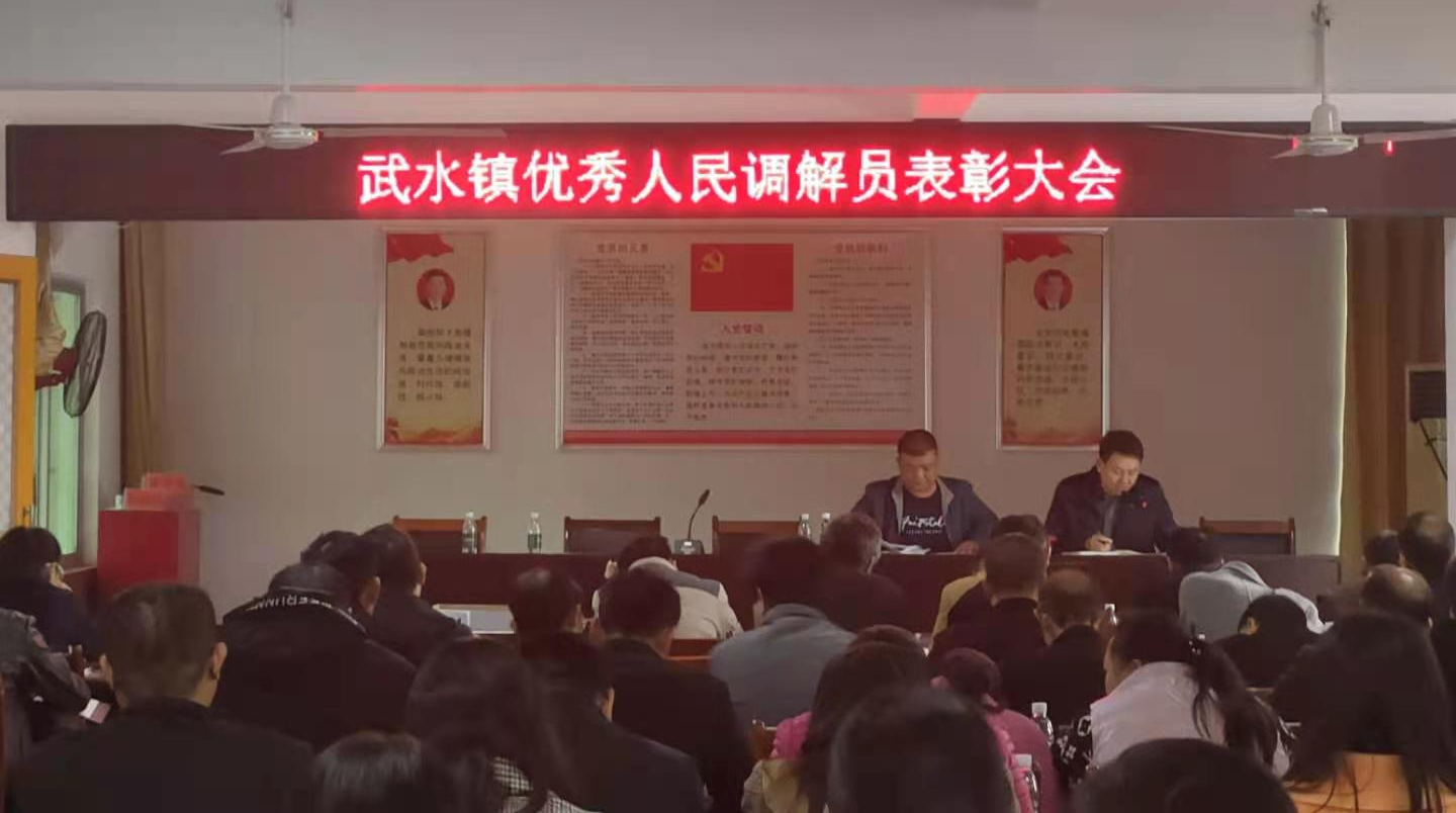 武水镇：表彰2020年优秀人民调解员