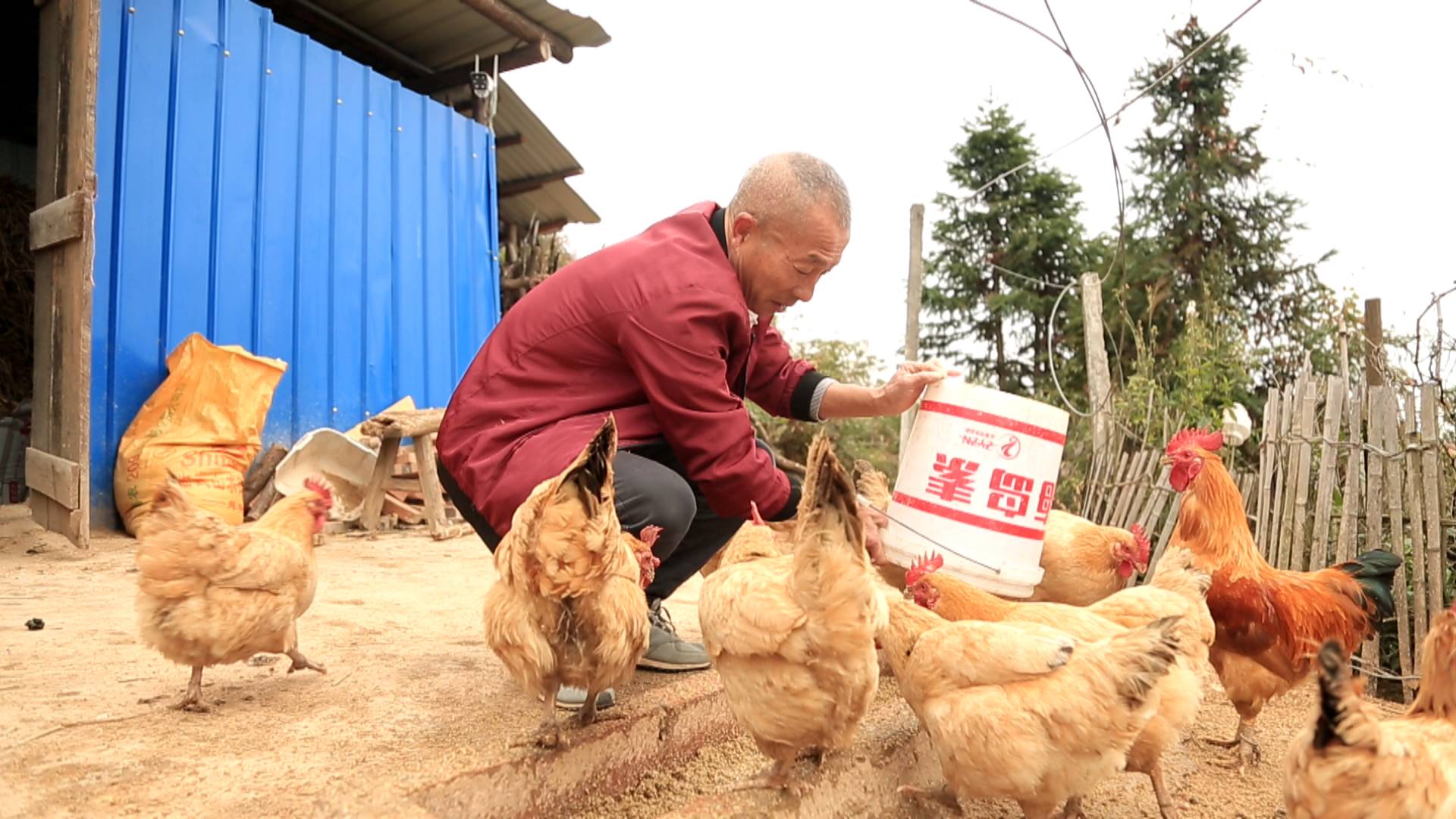 胡甫武：闲不住的贫困户