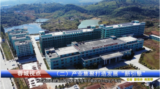 【桂阳融媒】“魅力临武　逐梦前行”媒体采风行系列报道（二）产业集聚打造发展“新引擎”