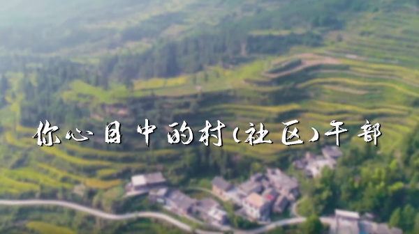 老百姓心目中的优秀村（社区）干部长啥样？