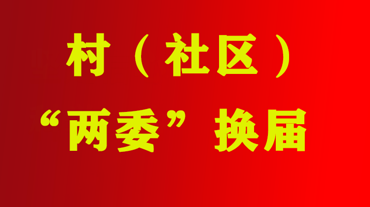 县指导组为村（社区）“两委”换届工作“把脉”