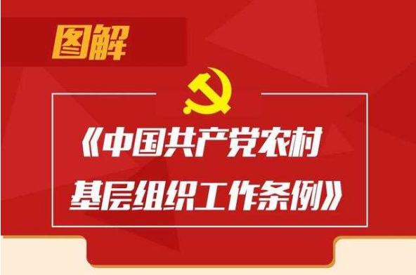 村（社区）“两委”换届选举，这个条例要熟知