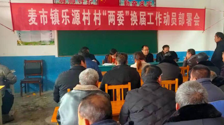 麦市镇：镇村干部上下同频护航换届选举