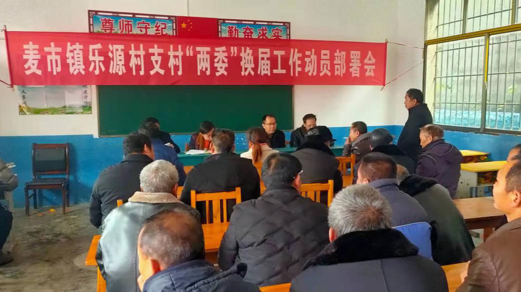 麦市镇：镇村干部上下同频护航换届选举