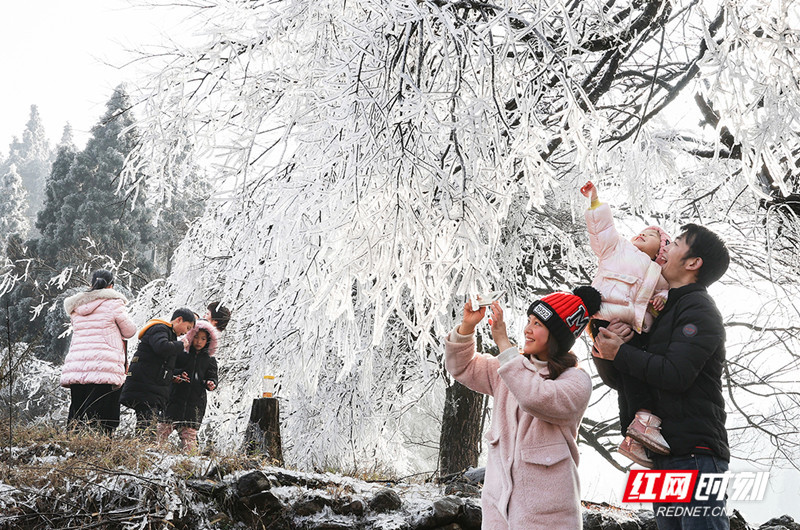 湖南临武：冬雪美景让人醉