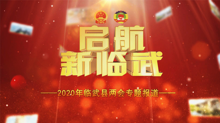 启航！新临武 ·2020年临武县两会专题报道