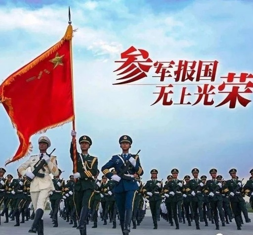 关于印发《临武县激励大学生参军入伍的实施措施》的通知