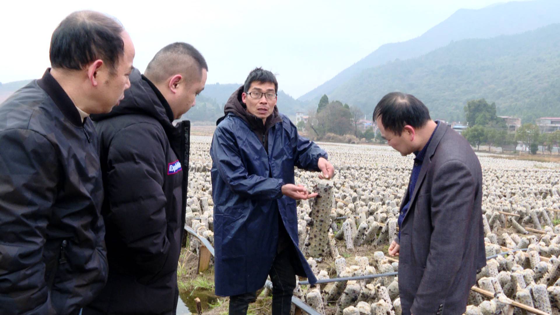 应对低温雨雪天气：县农业农村局守护群众“菜篮子”