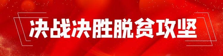 决战决胜脱贫攻坚