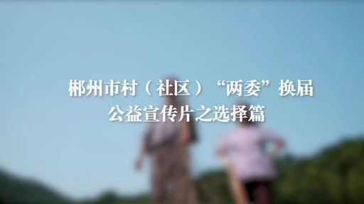珍惜你的选择 投好庄严一票