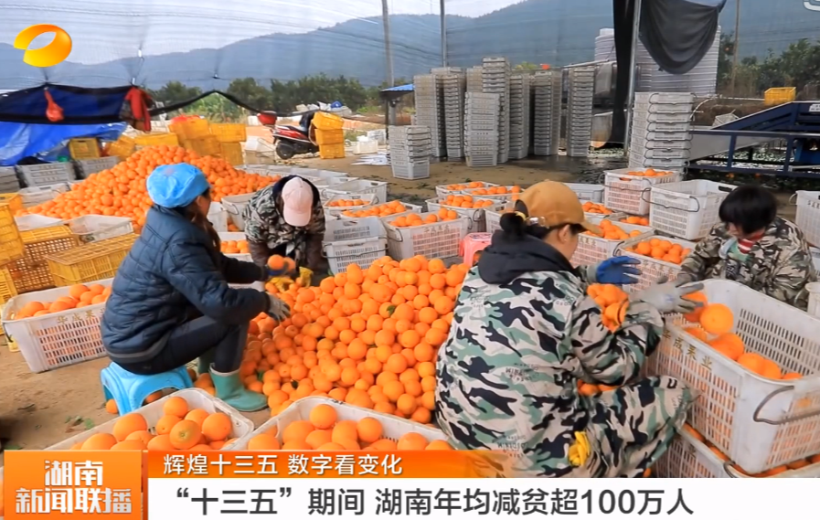 【湖南卫视】“十三五”期间 湖南年均减贫超100万人